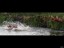 20140803_img_0000