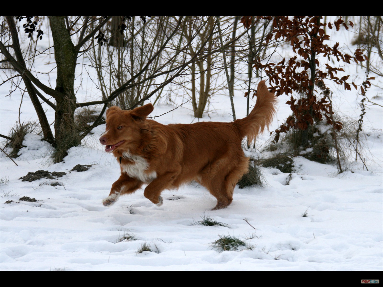 20120205_IMG_0347