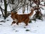 20120205_IMG_0347